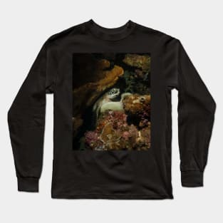 A Green Turtle Snoozes on the Reef Long Sleeve T-Shirt